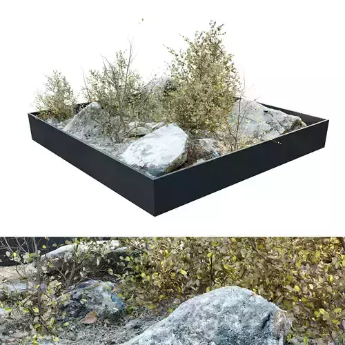 Dry plants in rocky base