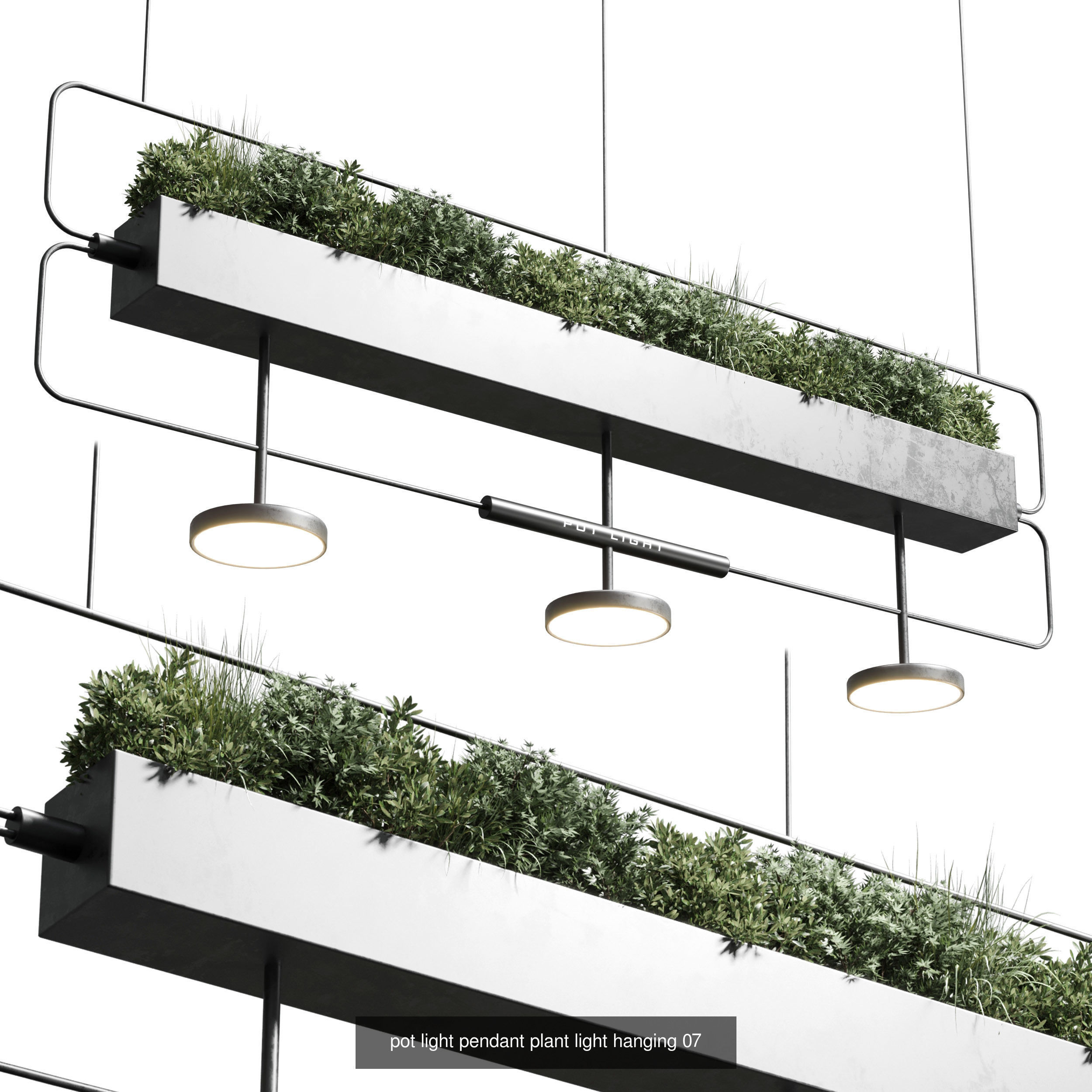 indoor plant and hanging plant and pot light  3D Model Collection_5