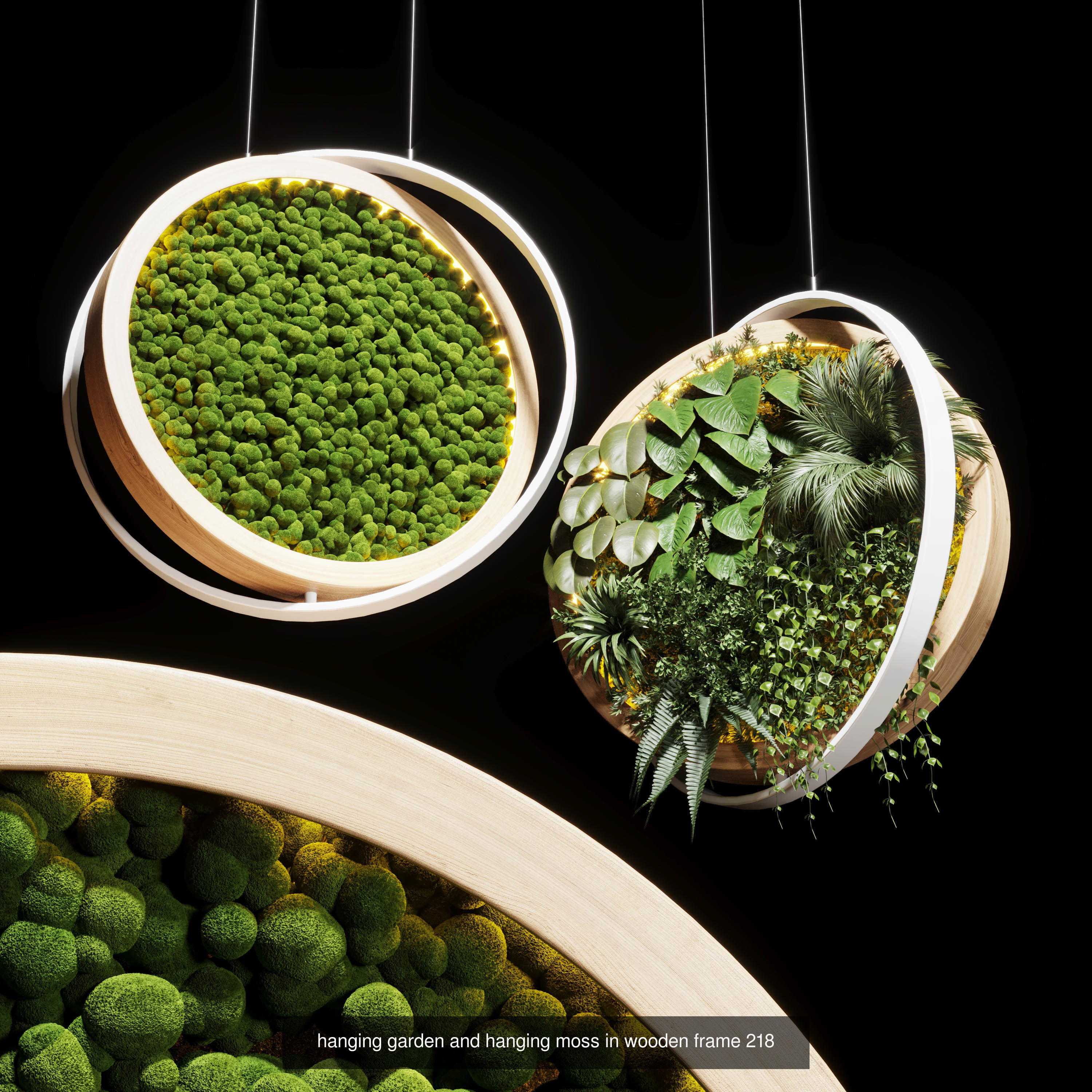 indoor plant and hanging plant and pot light  3D Model Collection_4