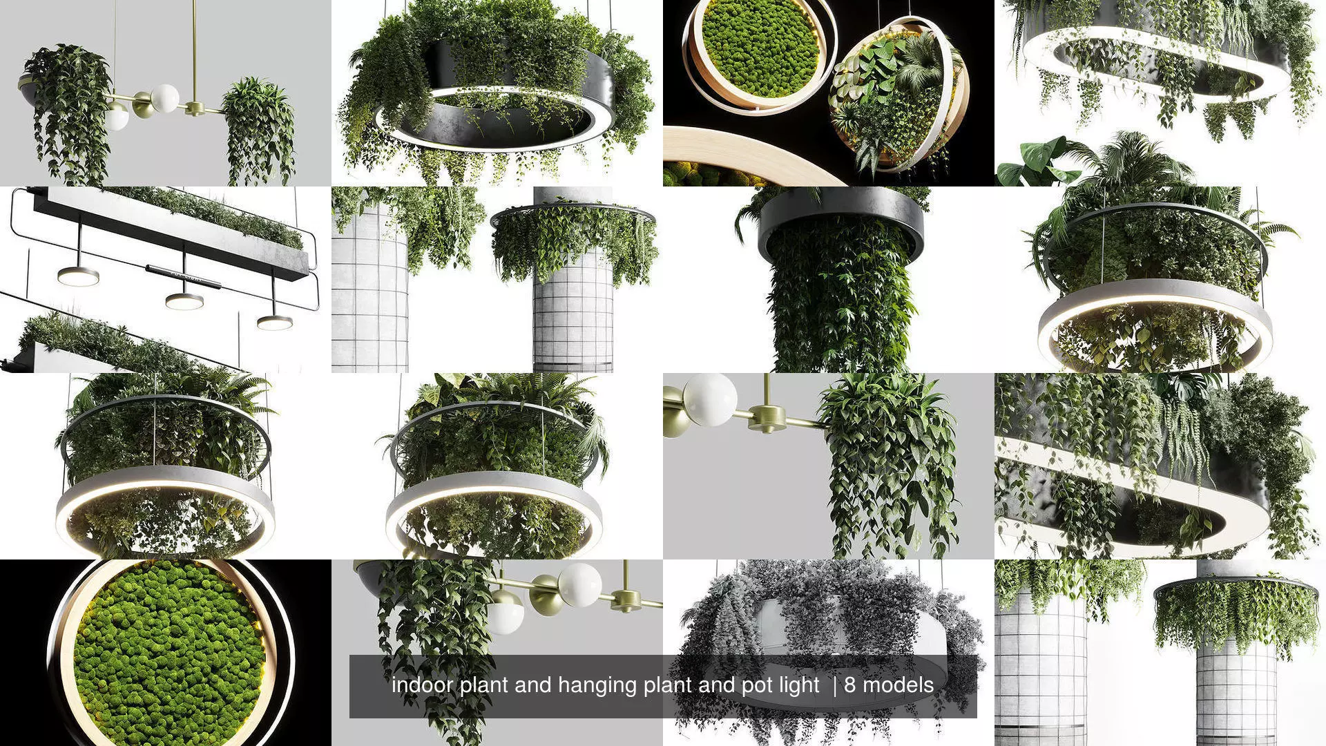 indoor plant and hanging plant and pot light  3D Model Collection_0