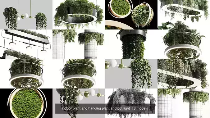indoor plant and hanging plant and pot light  3D Model Collection