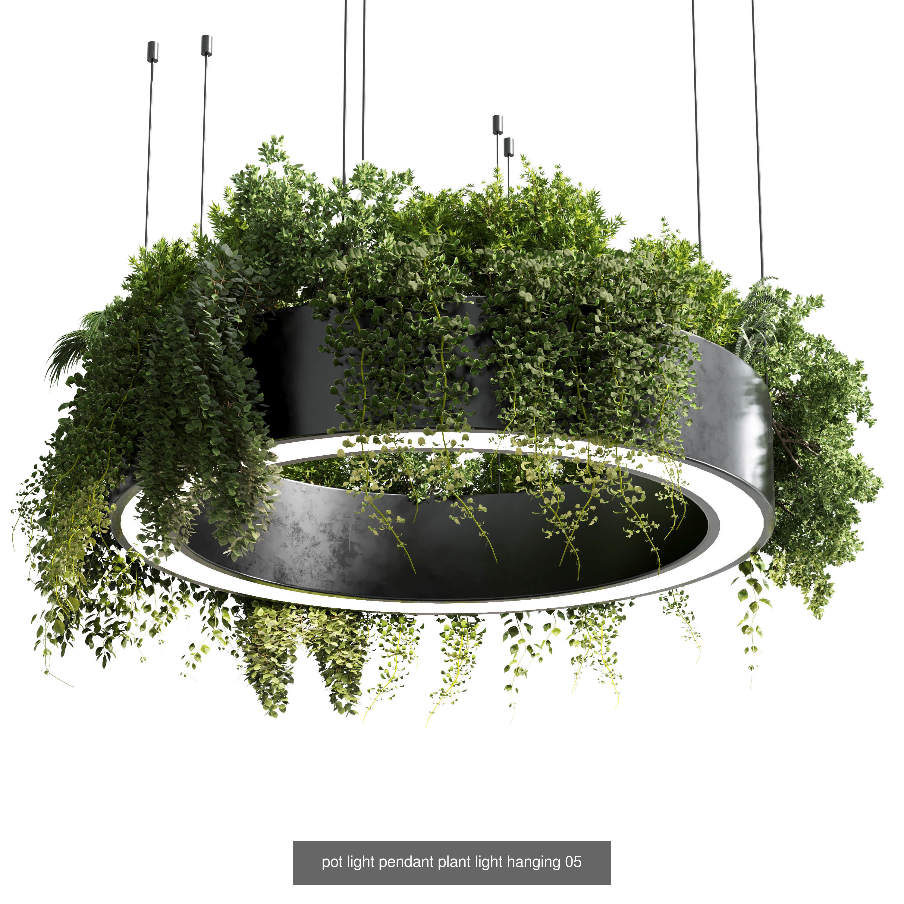 indoor plant and hanging plant and pot light  3D Model Collection_2