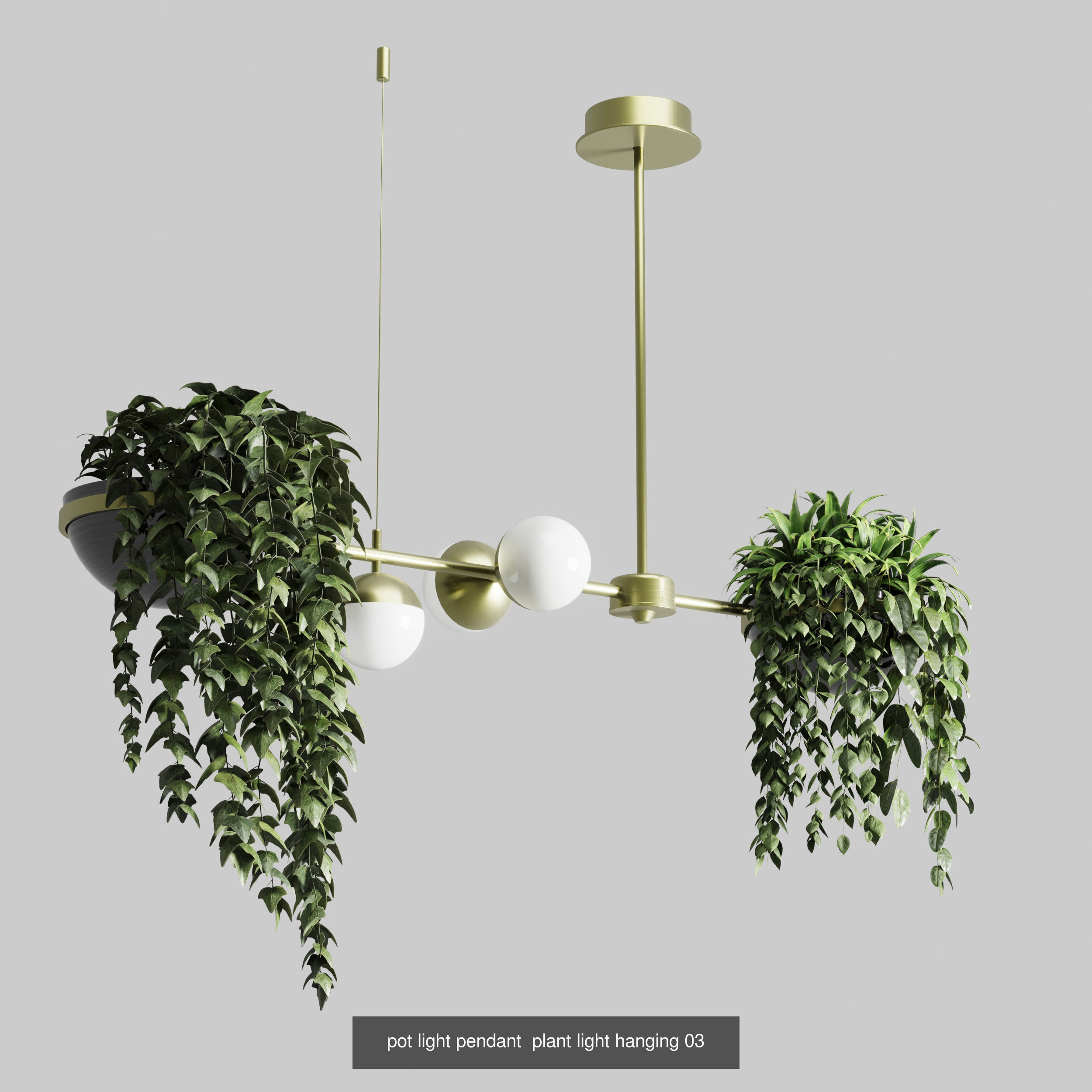 indoor plant and hanging plant and pot light  3D Model Collection_3