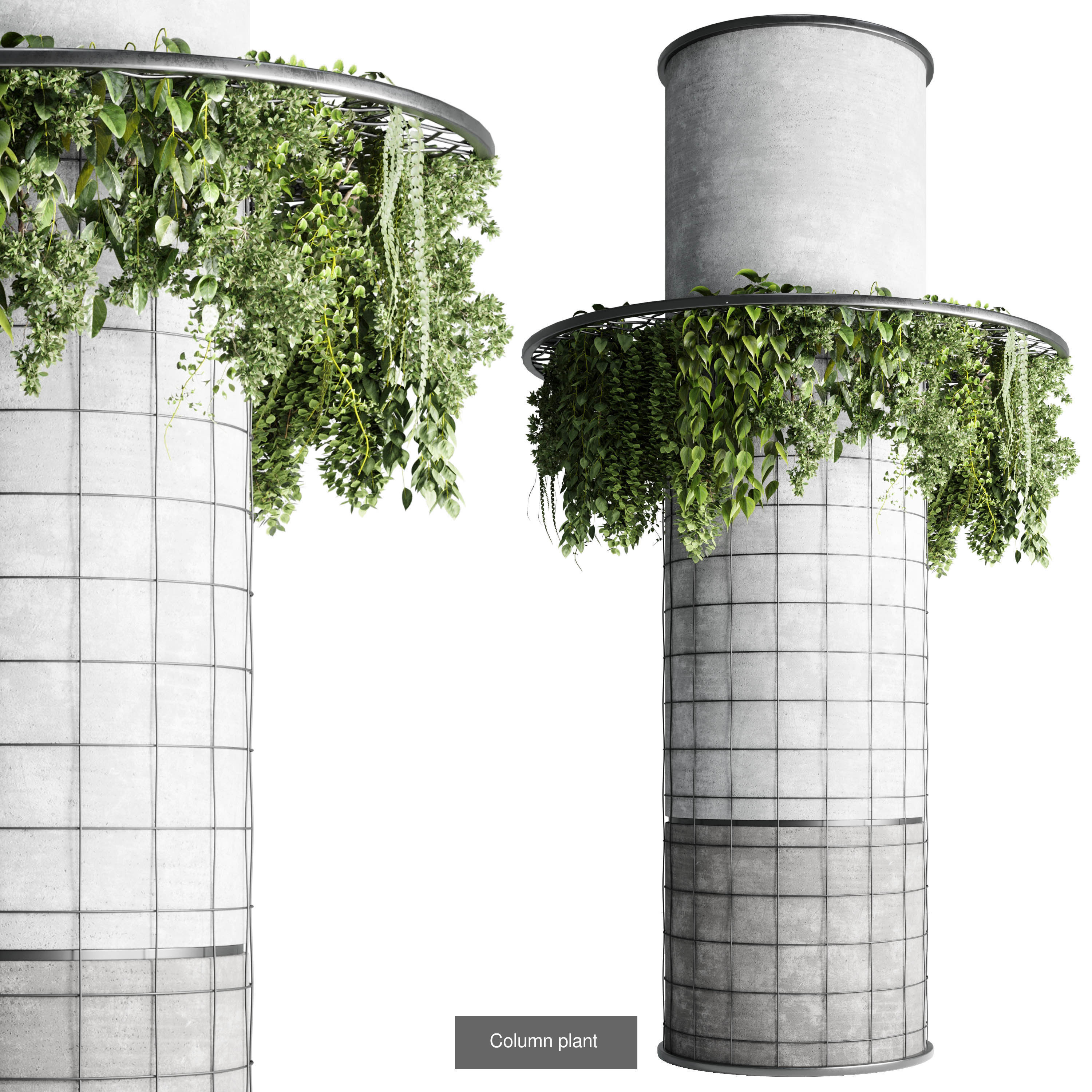 indoor plant and hanging plant and pot light  3D Model Collection_6