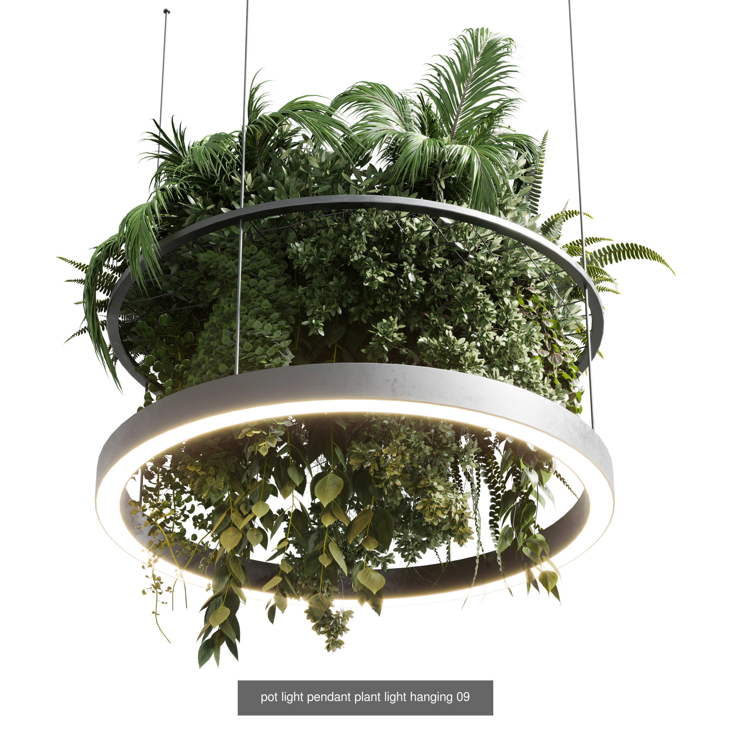 indoor plant and hanging plant and pot light  3D Model Collection_8