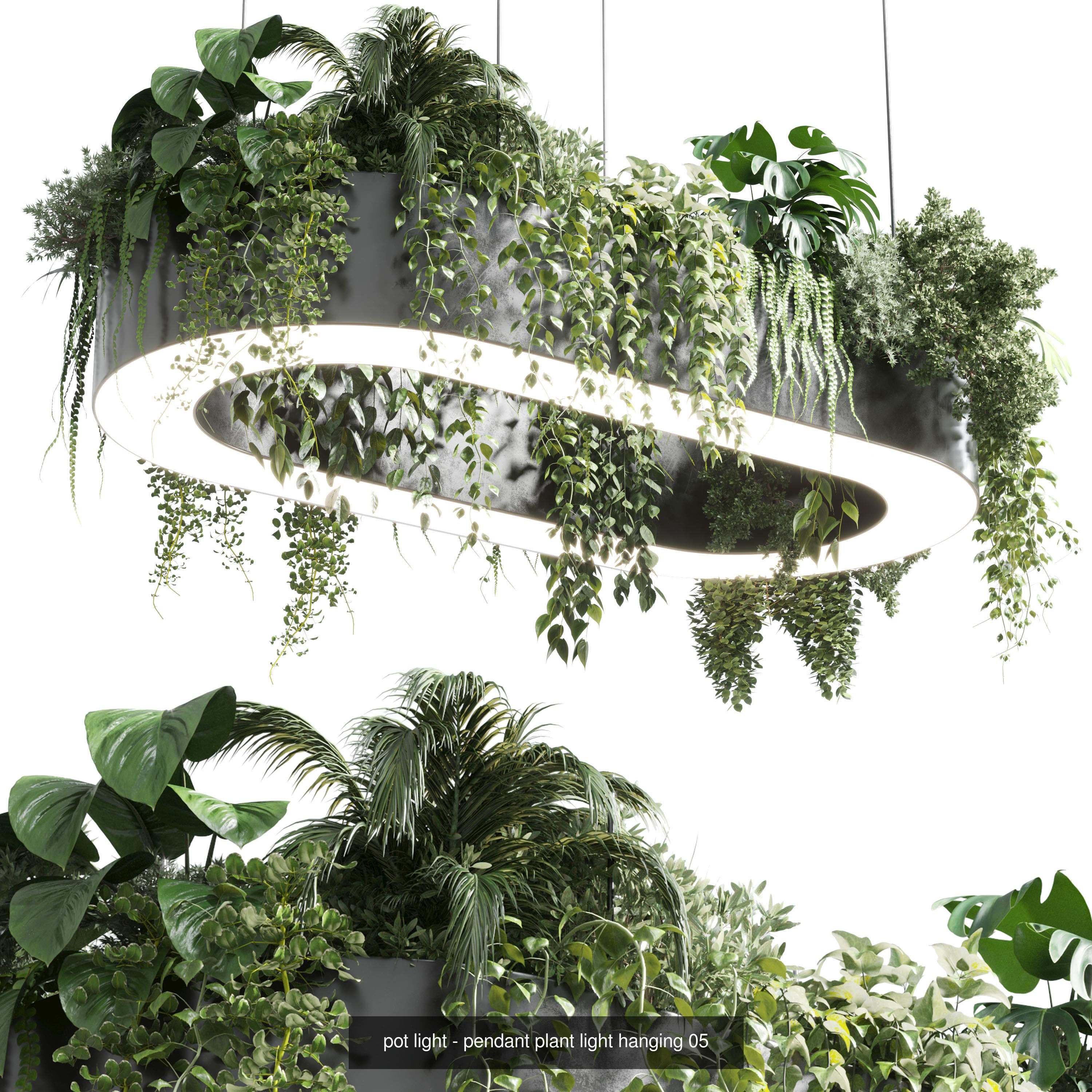 indoor plant and hanging plant and pot light  3D Model Collection_1