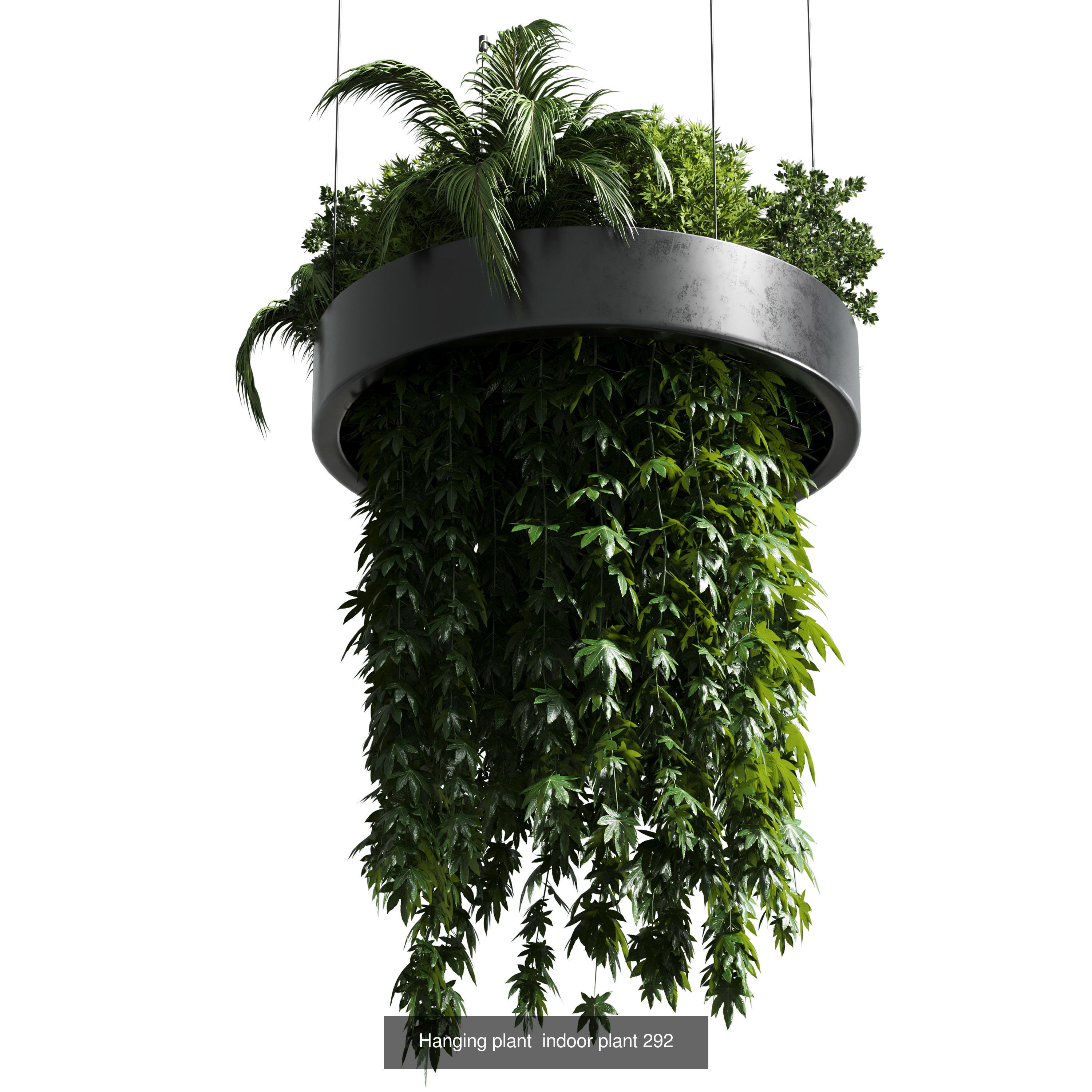 indoor plant and hanging plant and pot light  3D Model Collection_7