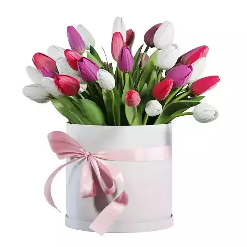 Flower Set 21 - Pink and White Tulips Bouquet