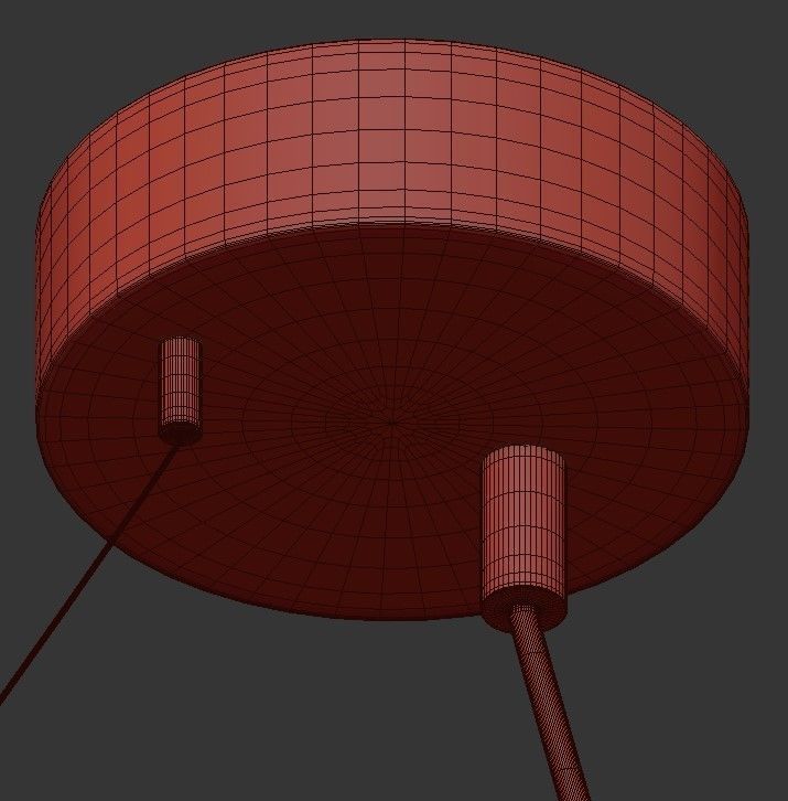 Sakura hanging lamp with wooden frame and glass globe 3D model_1