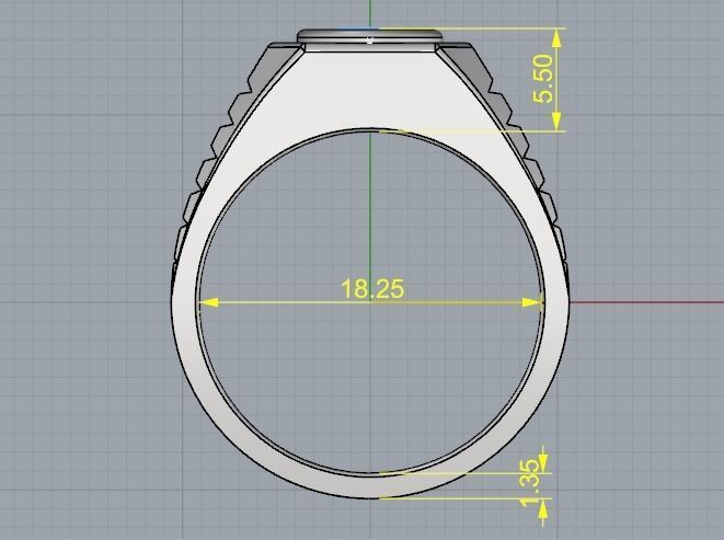 Ring Model 1899 3D print model_6