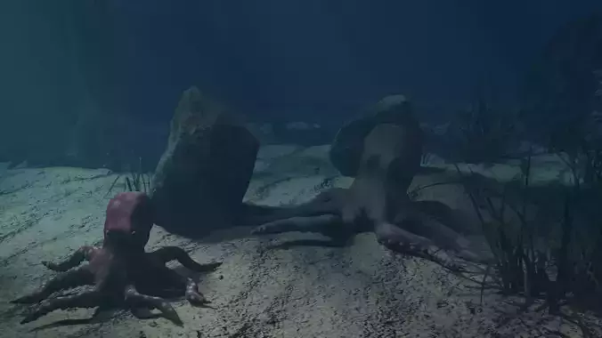 Octopus and baby