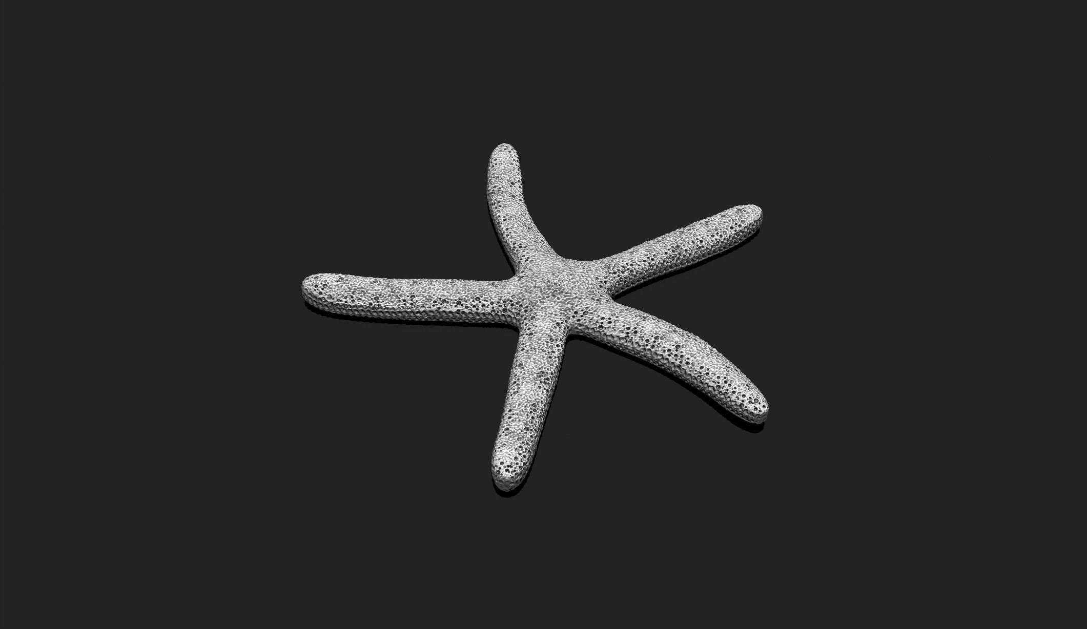 Starfish 3 - 3D Print - Aquarium 3D print model_4