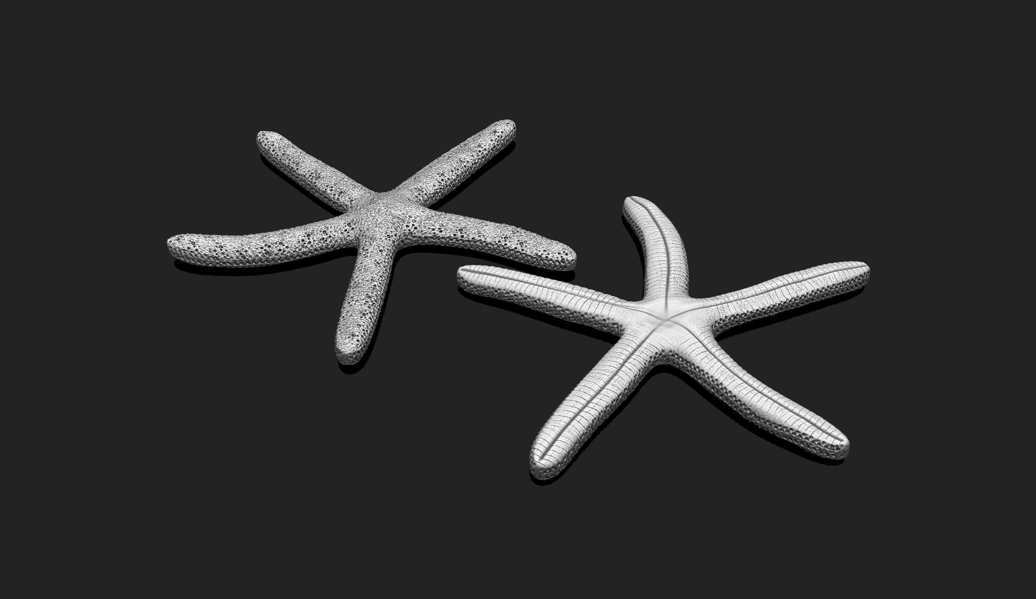 Starfish 3 - 3D Print - Aquarium 3D print model_1