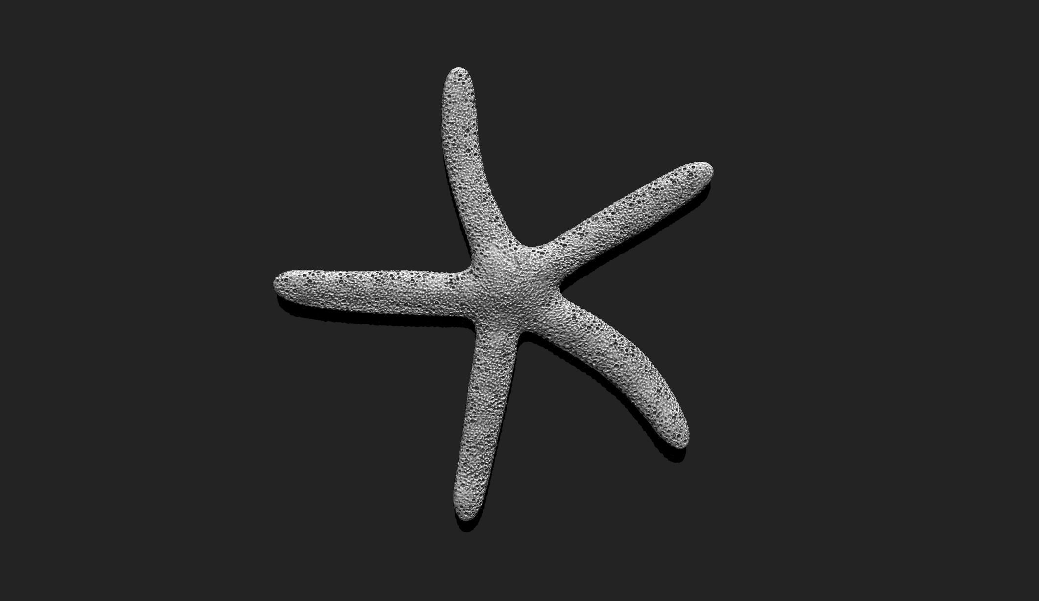 Starfish 3 - 3D Print - Aquarium 3D print model_2