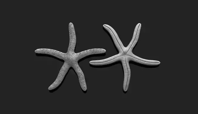 Starfish 4 - 3D Print - Aquarium 3D print model