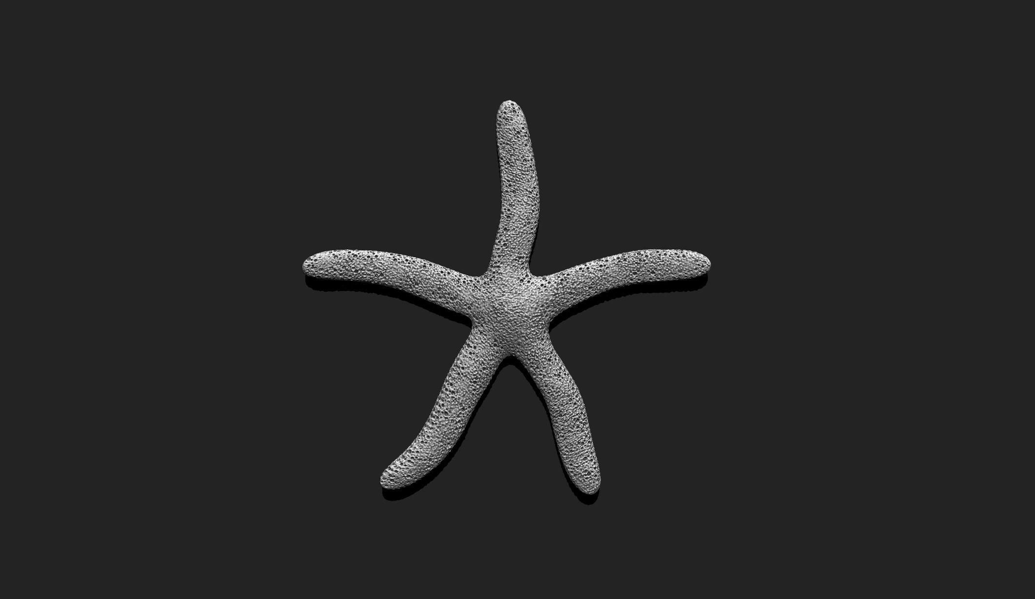 Starfish 4 - 3D Print - Aquarium 3D print model_2