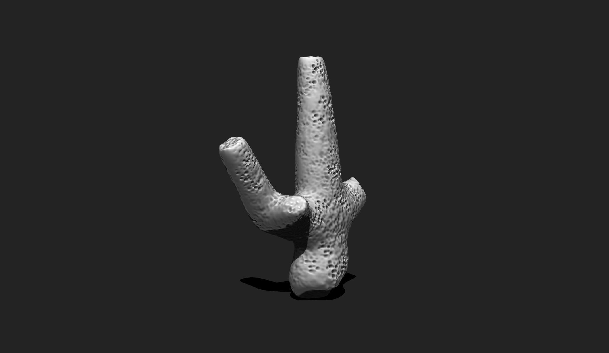 Coral 2 - 3D Print - Aquarium 3D print model_5