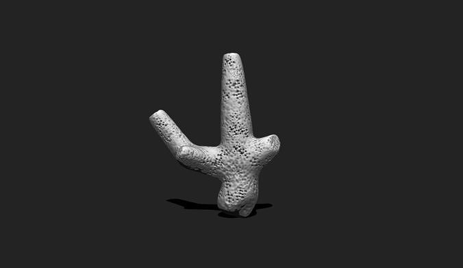 Coral 2 - 3D Print - Aquarium 3D print model