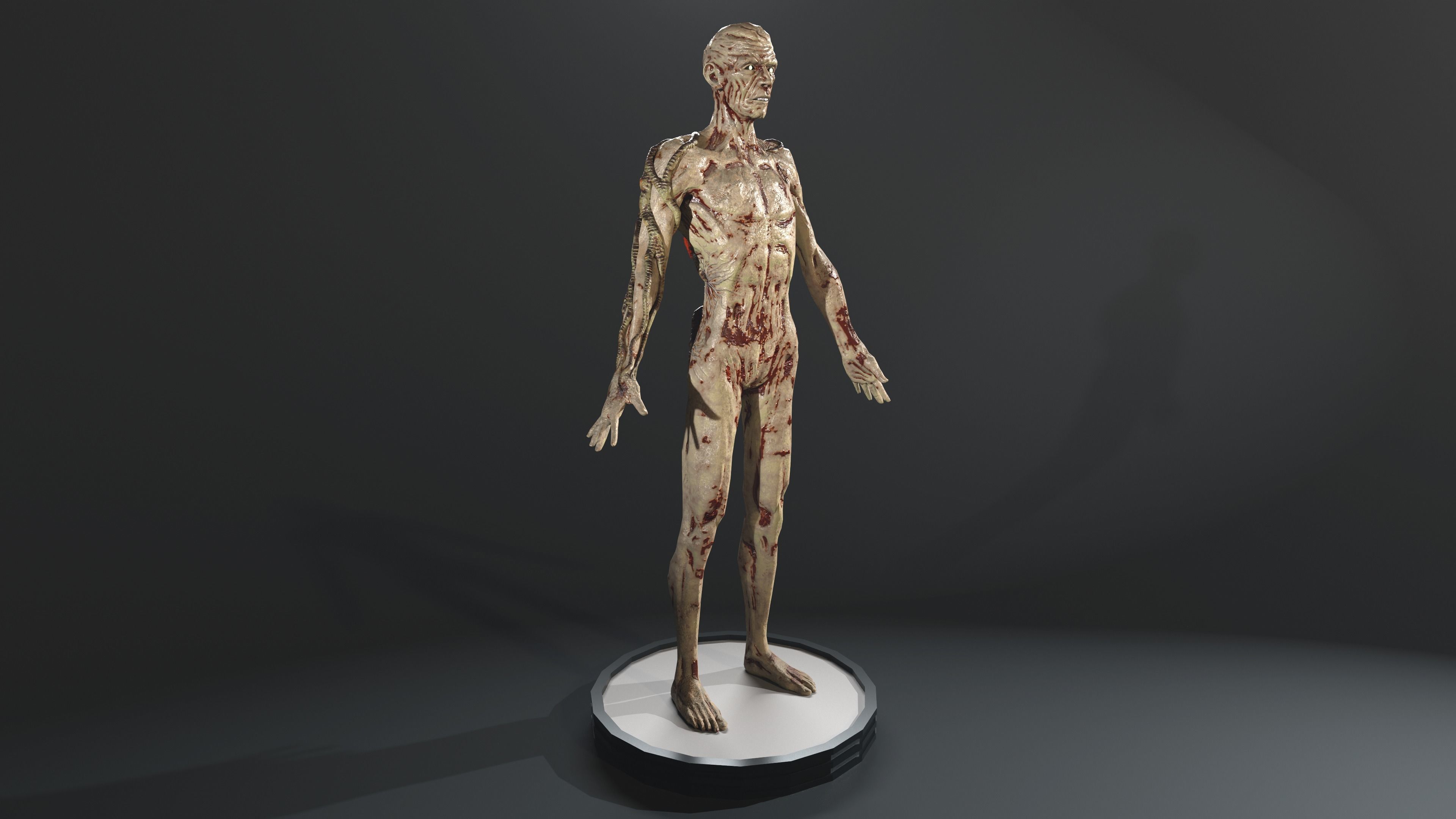 Zombie human skeleton Low-poly 3D model_16