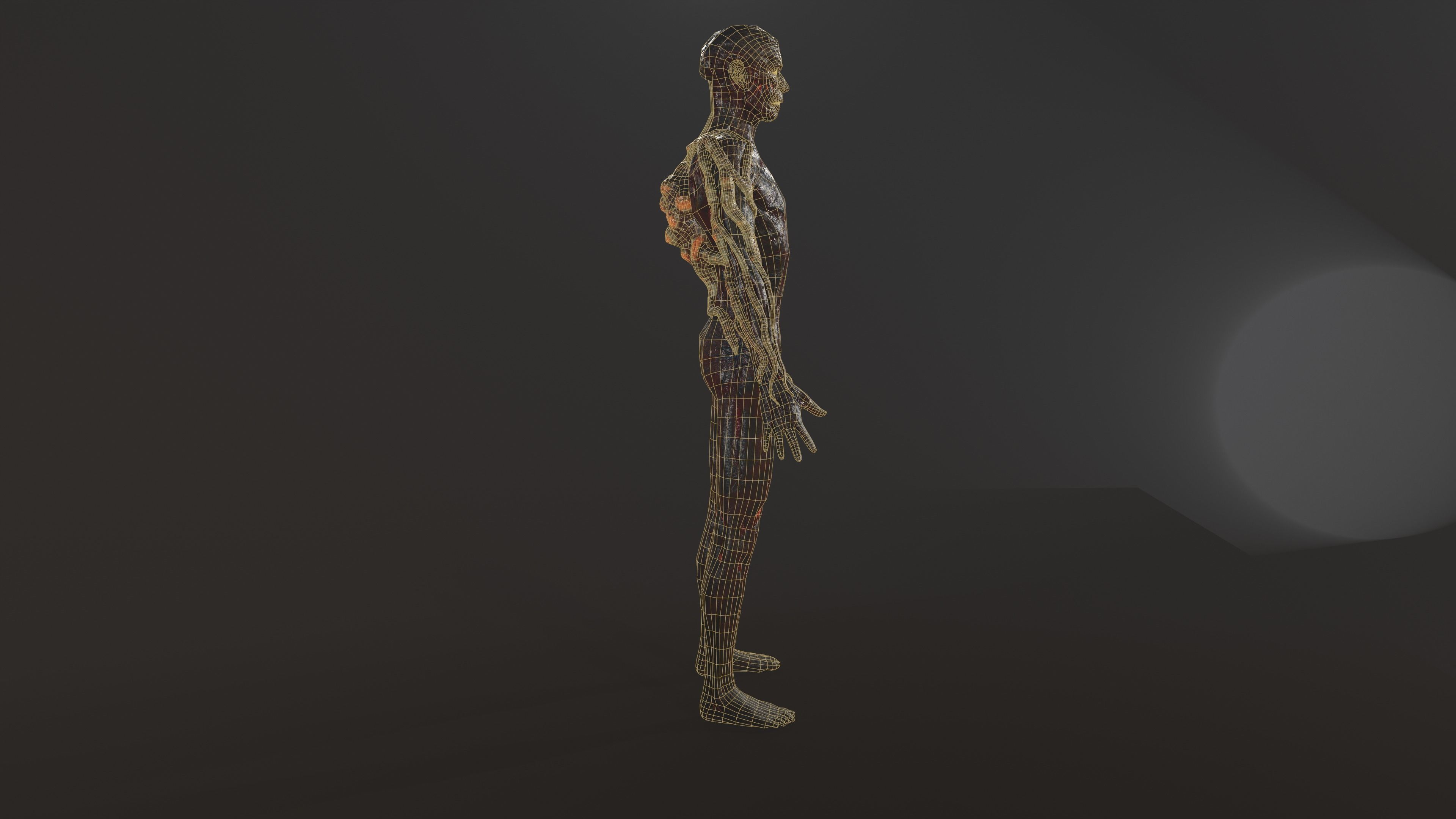 Zombie human skeleton Low-poly 3D model_32