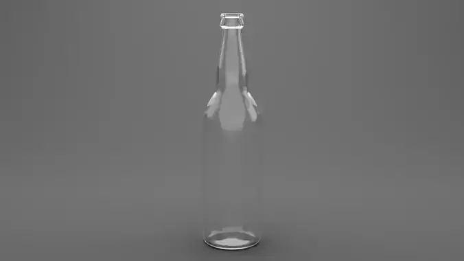 Beer Bottle