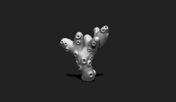 Coral 4 - 3D Print - Aquarium 3D print model