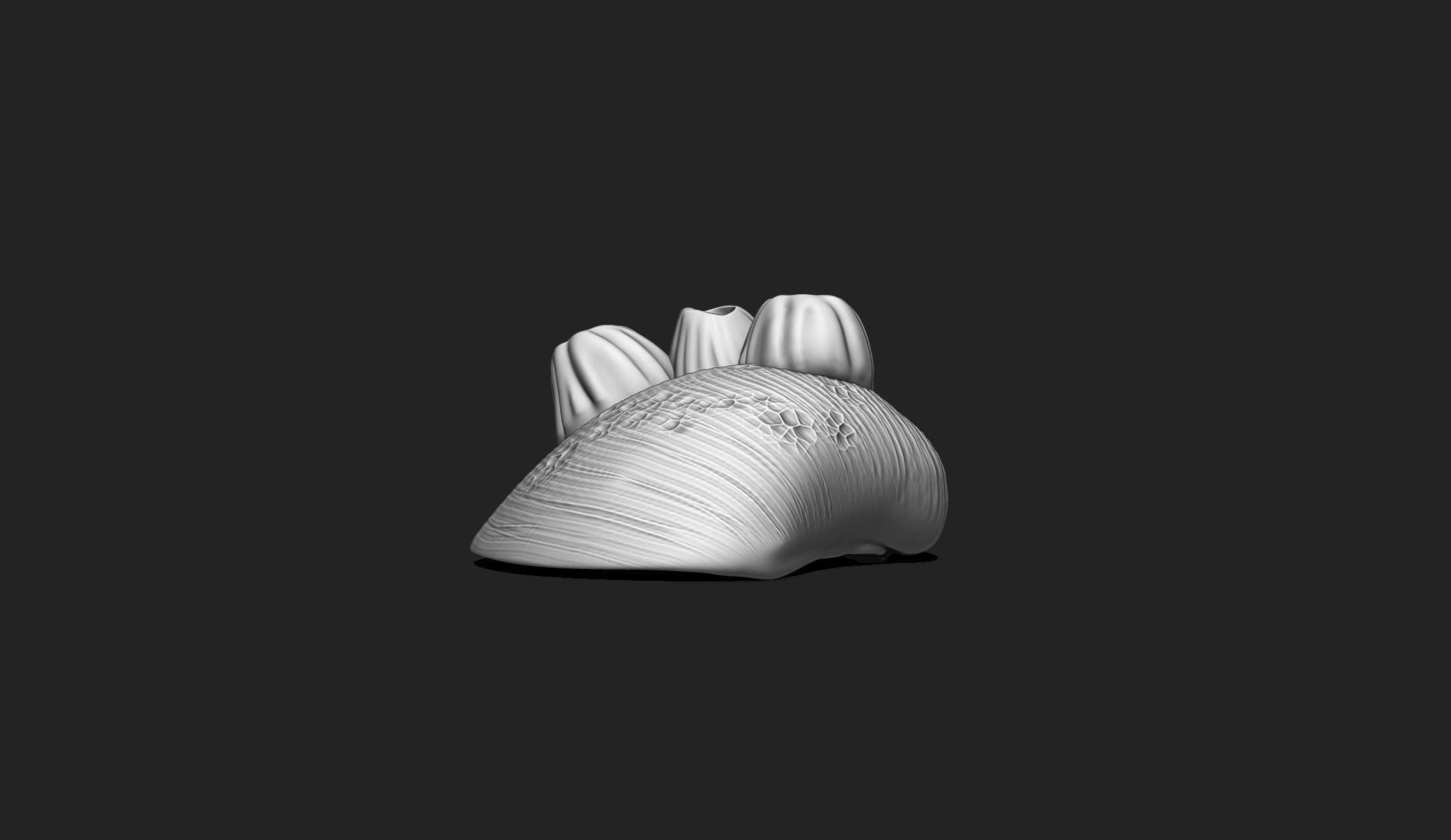 Shell with Barnacles - 3D Print - Aquarium 3D print model_5