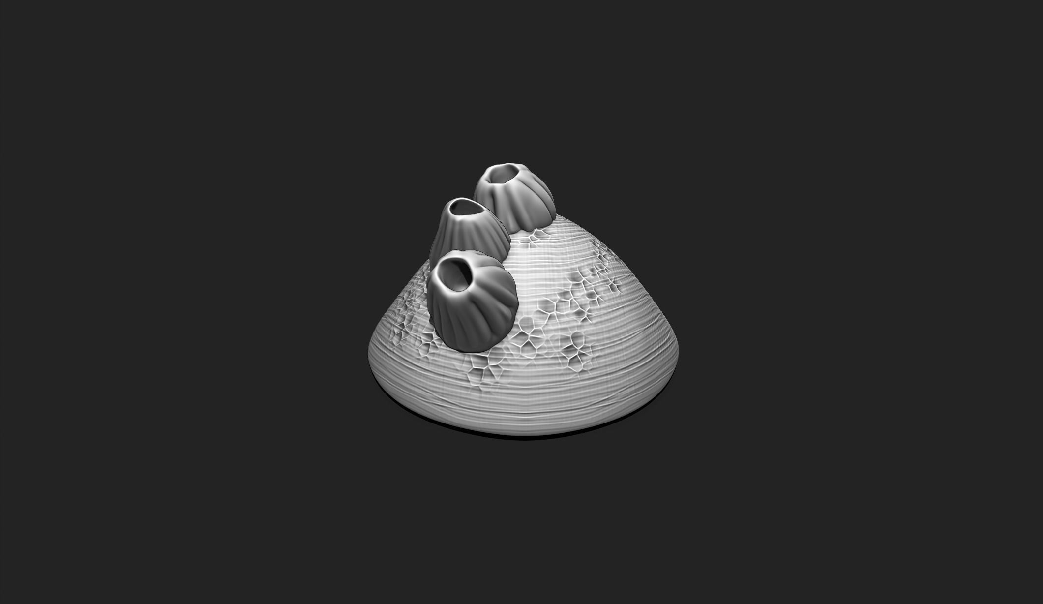 Shell with Barnacles - 3D Print - Aquarium 3D print model_1
