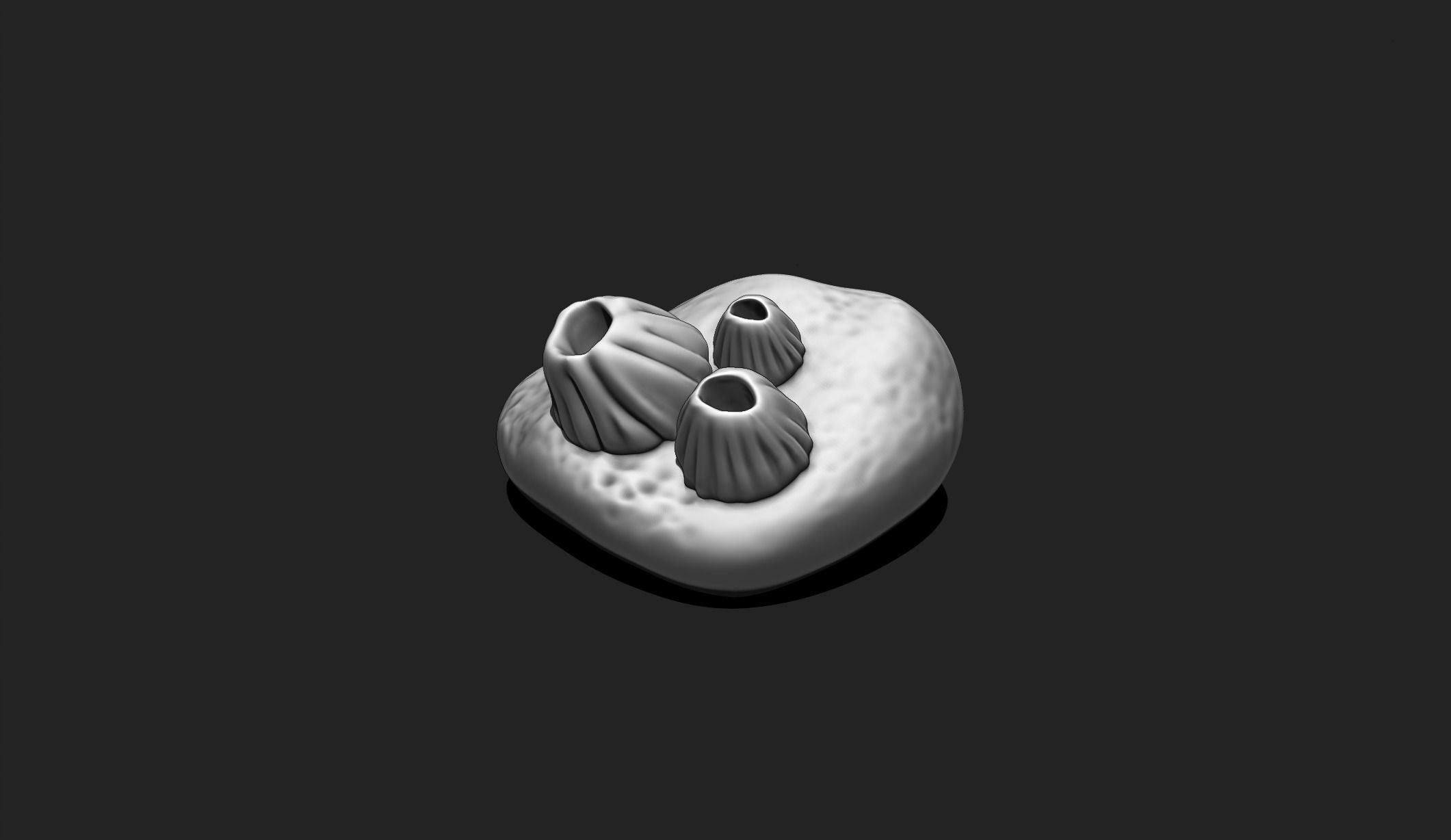 Sea Stone with Barnacles - 3D Print - Aquarium 3D print model_3