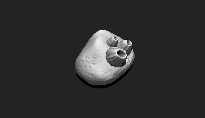 Sea Stone with Barnacles - 3D Print - Aquarium 3D print model