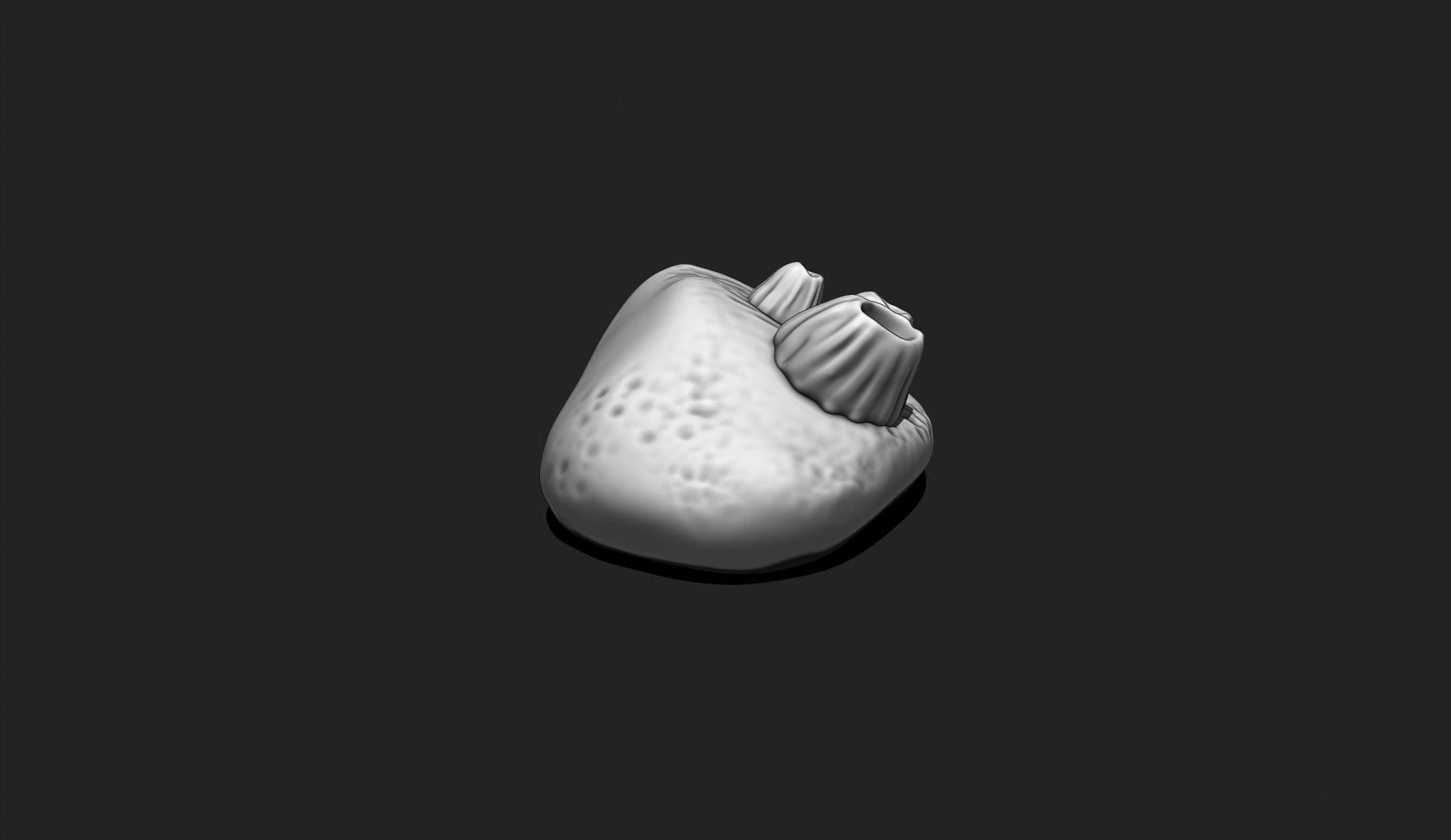 Sea Stone with Barnacles - 3D Print - Aquarium 3D print model_4