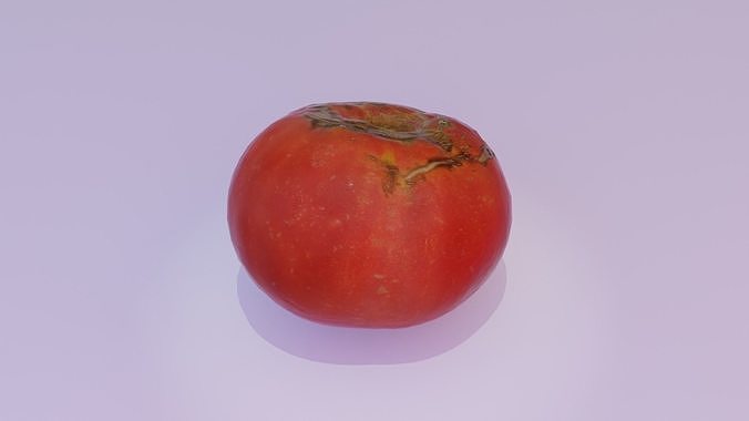 Tomato 02 Low-poly 3D model 4