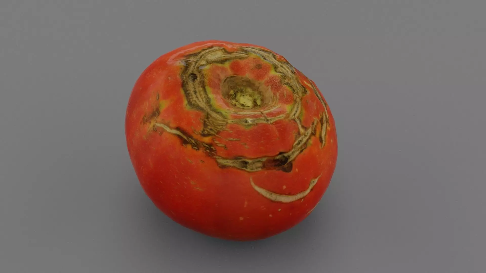 Tomato 02 Low-poly 3D model_0