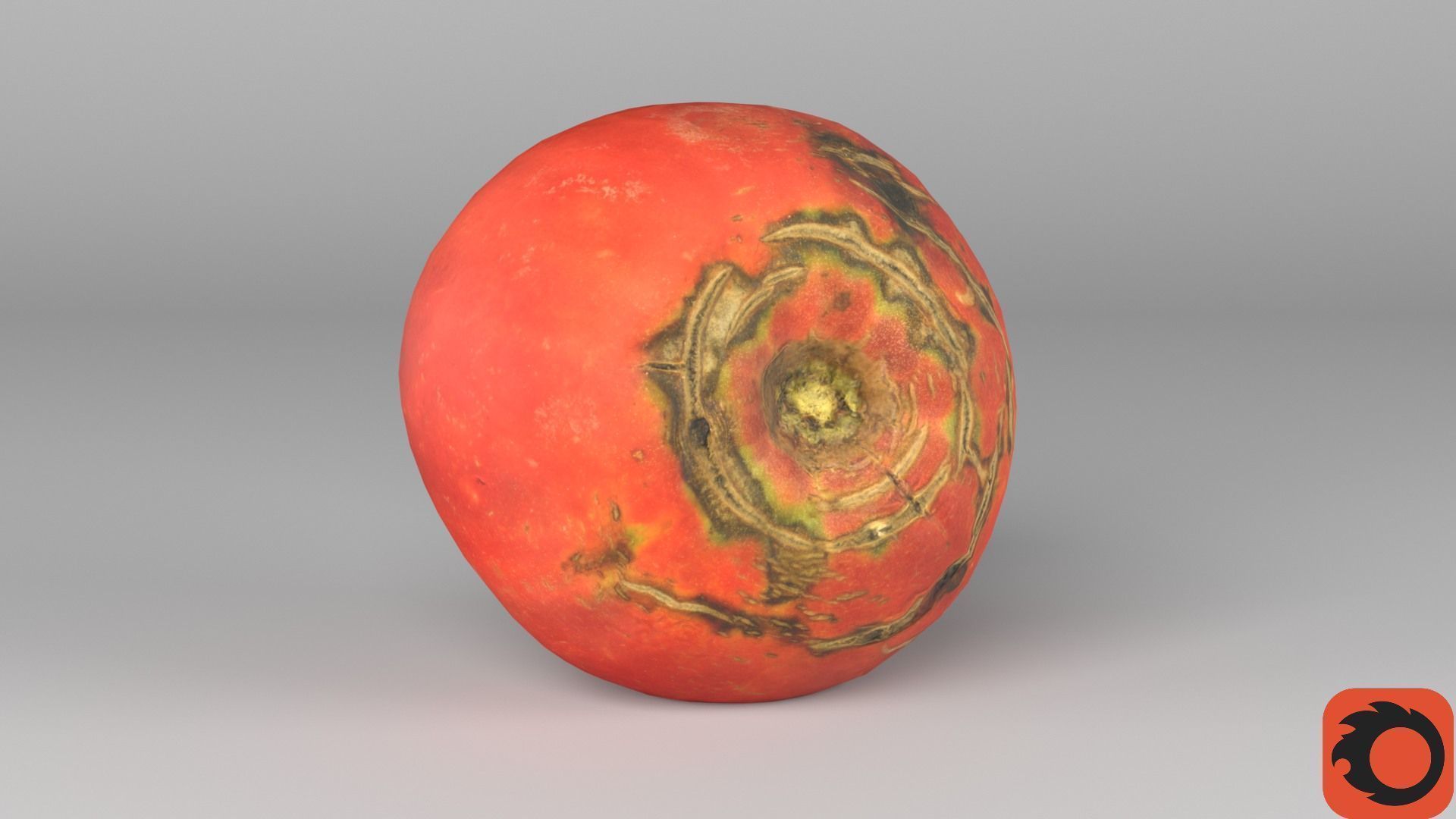 Tomato 02 Low-poly 3D model_31