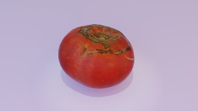 Tomato 02 Low-poly 3D model 3