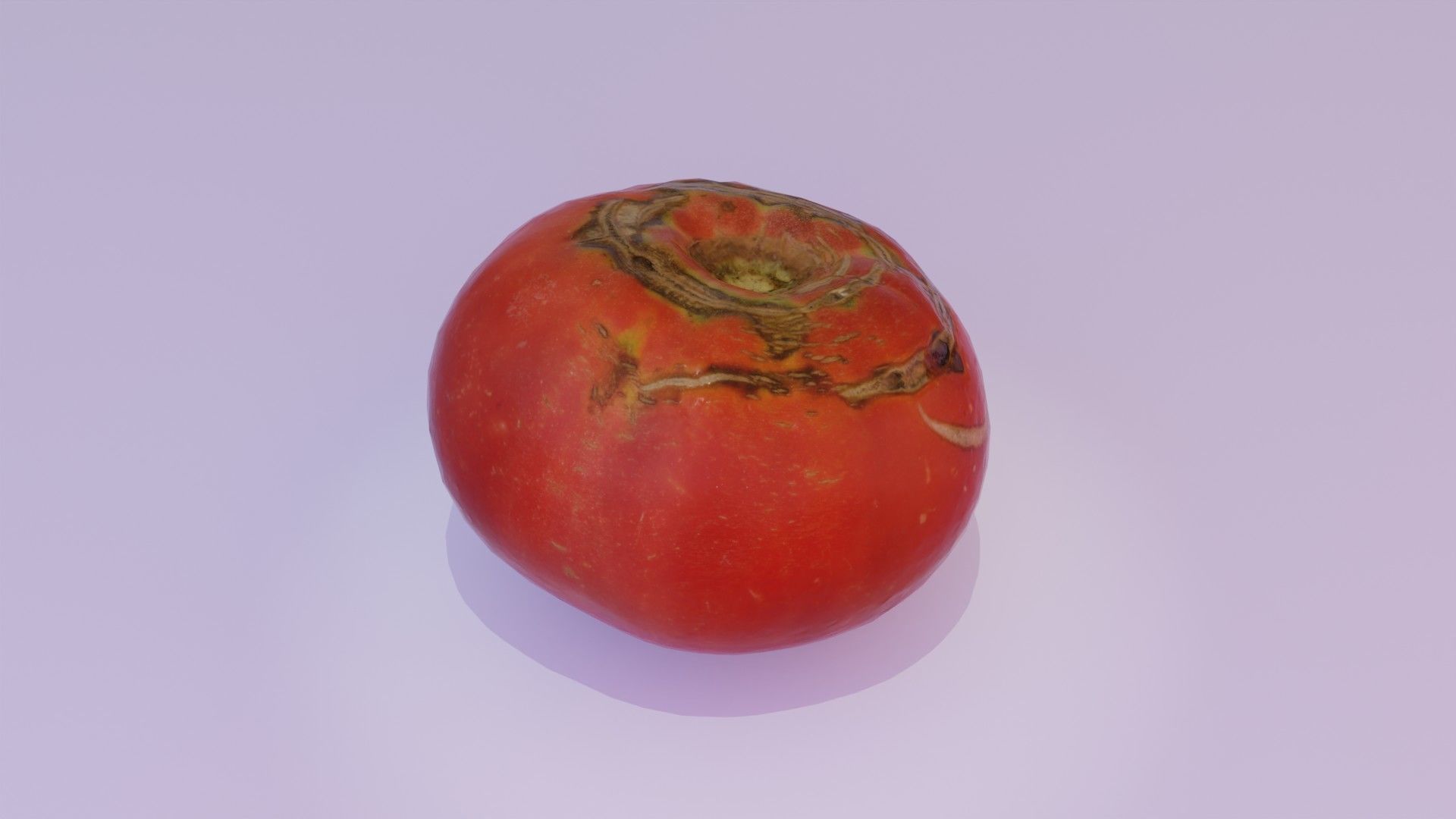 Tomato 02 Low-poly 3D model_2