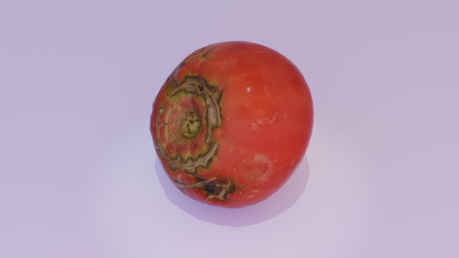 Tomato 02 Low-poly 3D model_7
