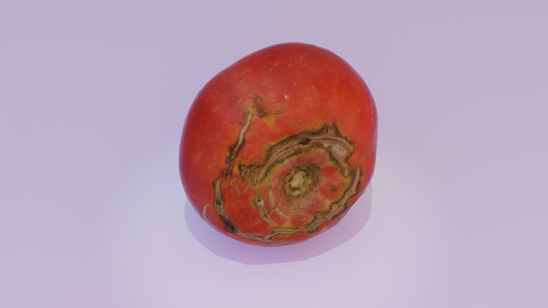 Tomato 02 Low-poly 3D model_9
