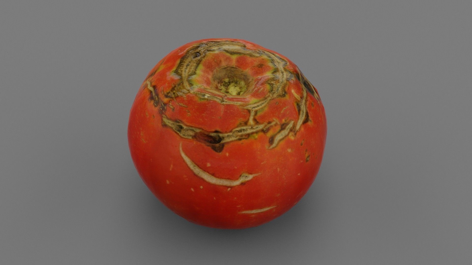 Tomato 02 Low-poly 3D model_21
