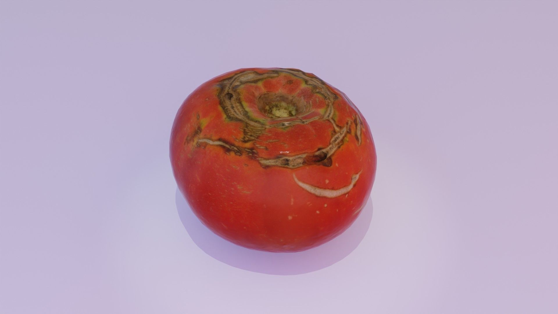 Tomato 02 Low-poly 3D model_1