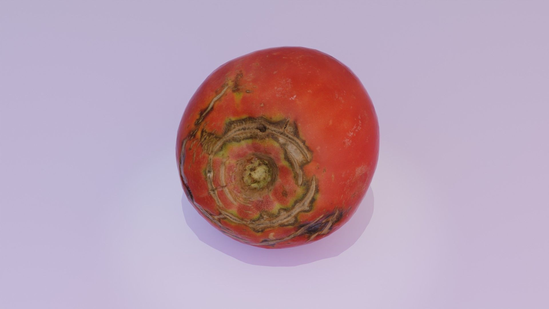 Tomato 02 Low-poly 3D model_8