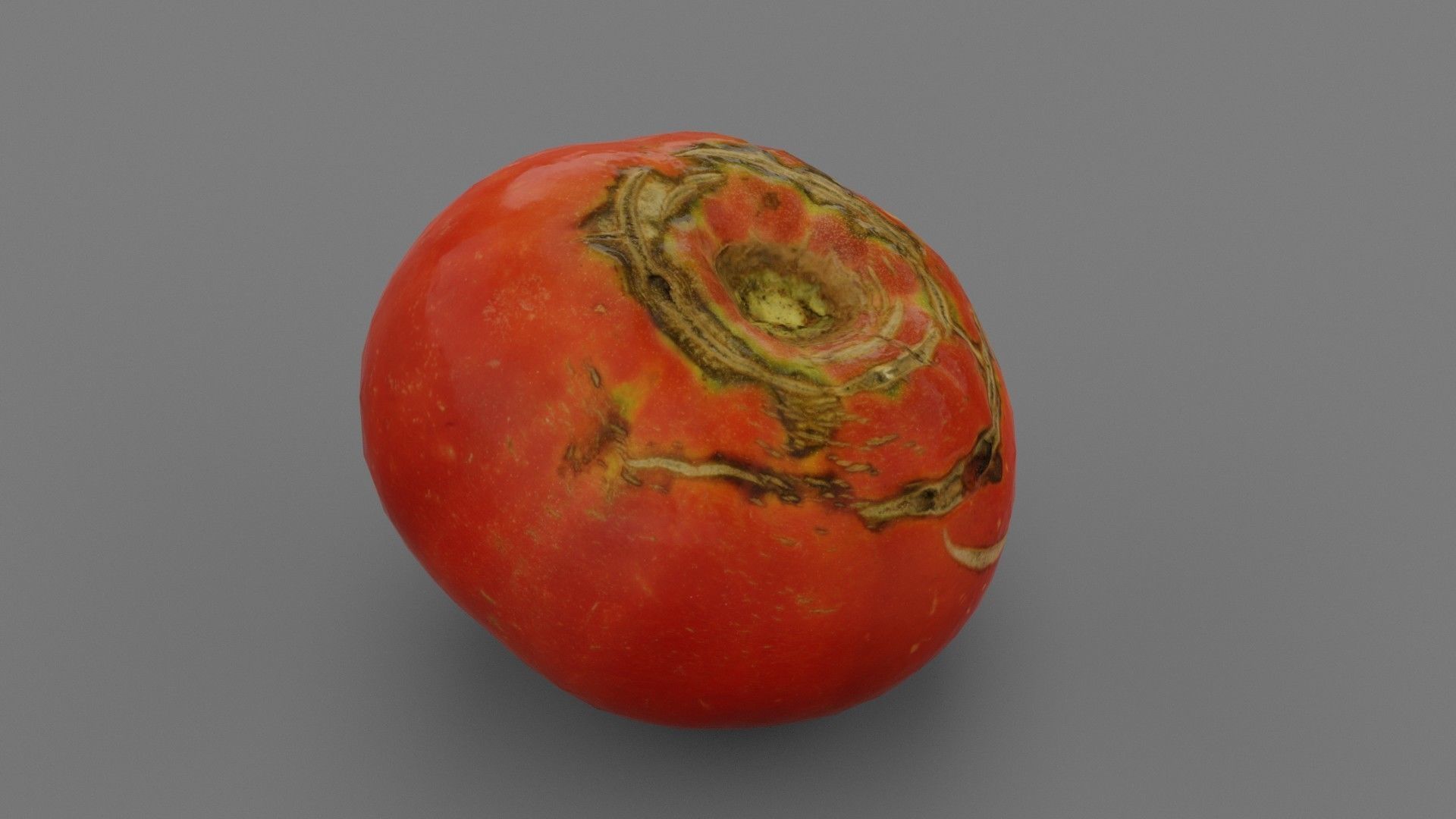 Tomato 02 Low-poly 3D model_22