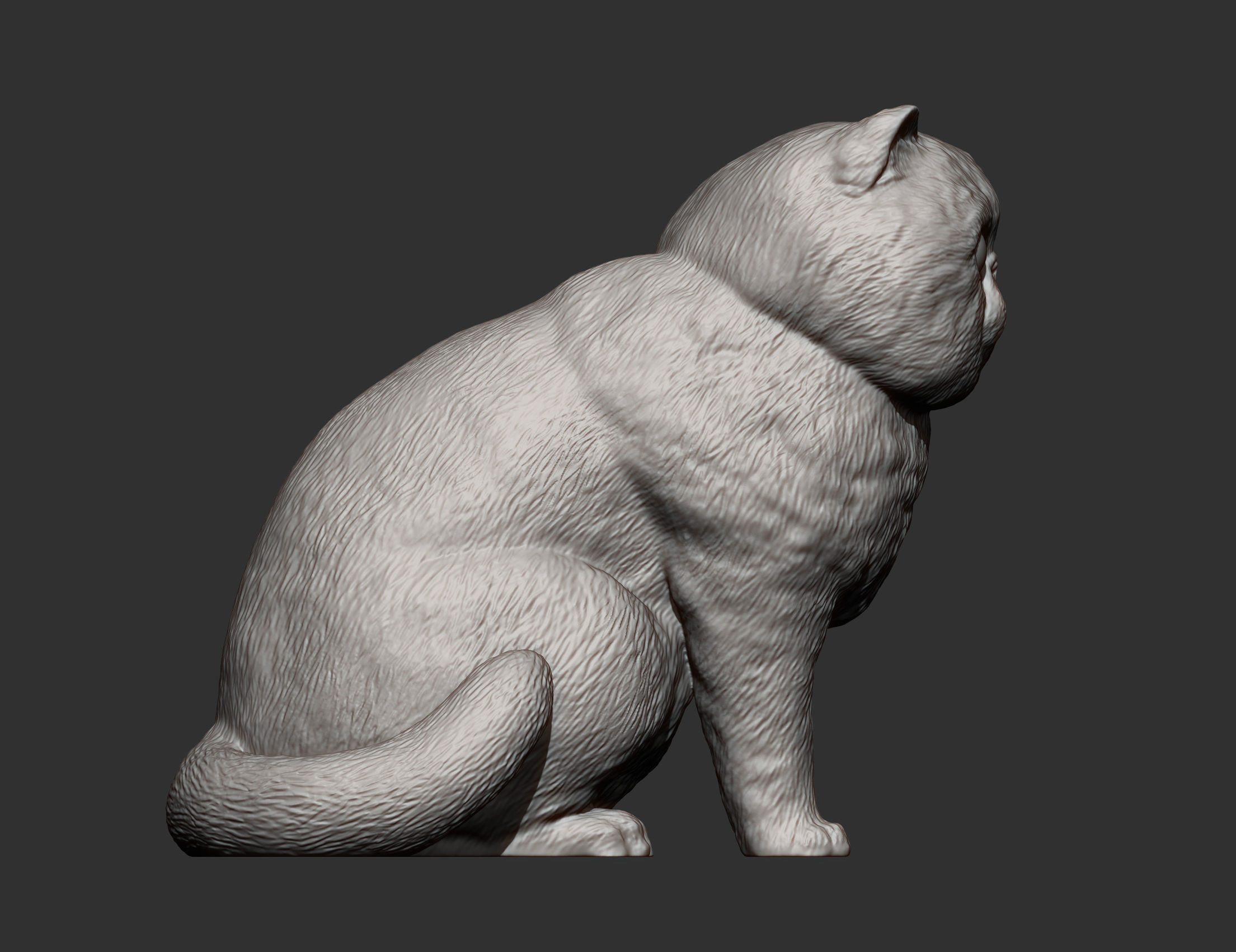 Exotic Shorthair Snoopy cat 3D print model_3