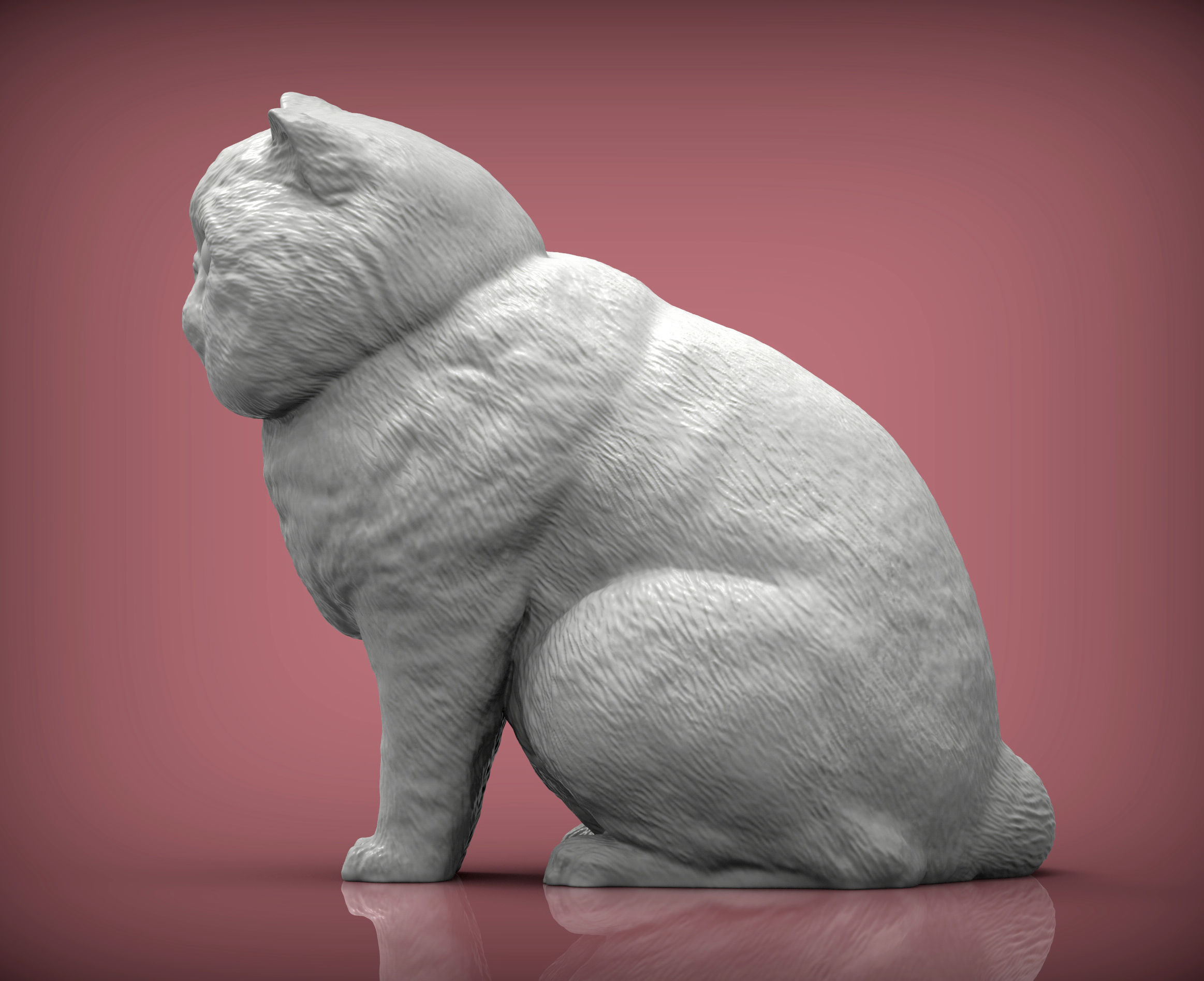 Exotic Shorthair Snoopy cat 3D print model_6