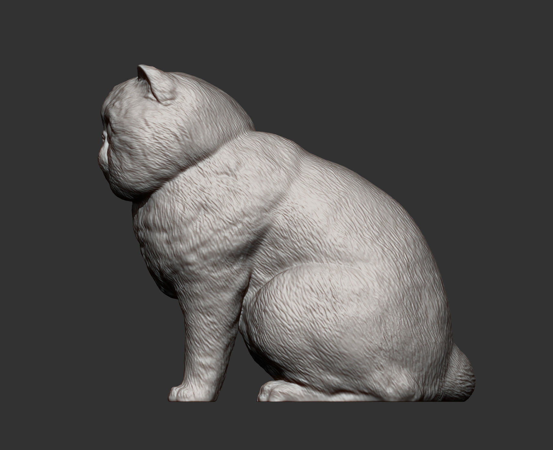 Exotic Shorthair Snoopy cat 3D print model_8