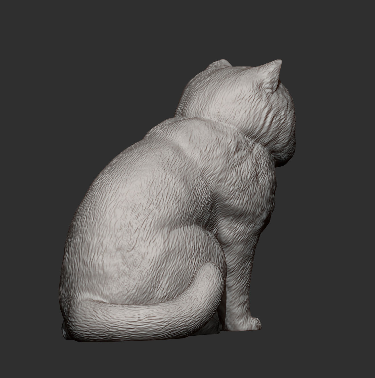 Exotic Shorthair Snoopy cat 3D print model_5