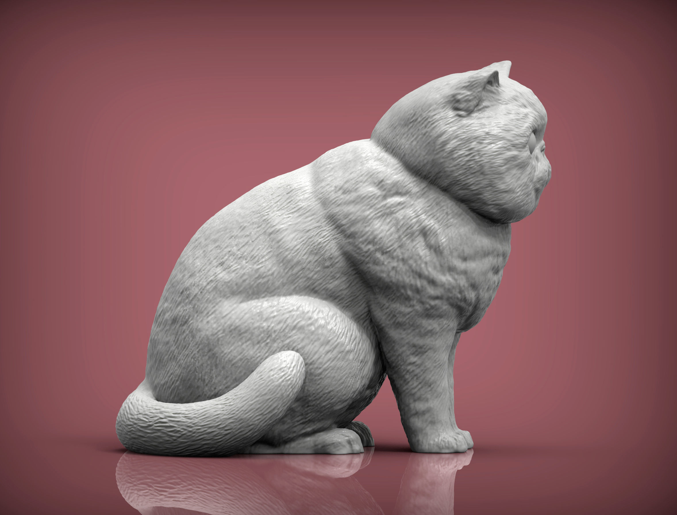 Exotic Shorthair Snoopy cat 3D print model_4
