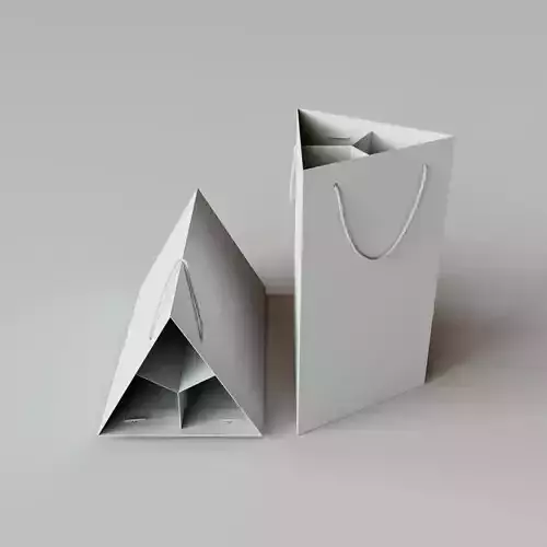 TRIANGLE BAG - Package 3D model