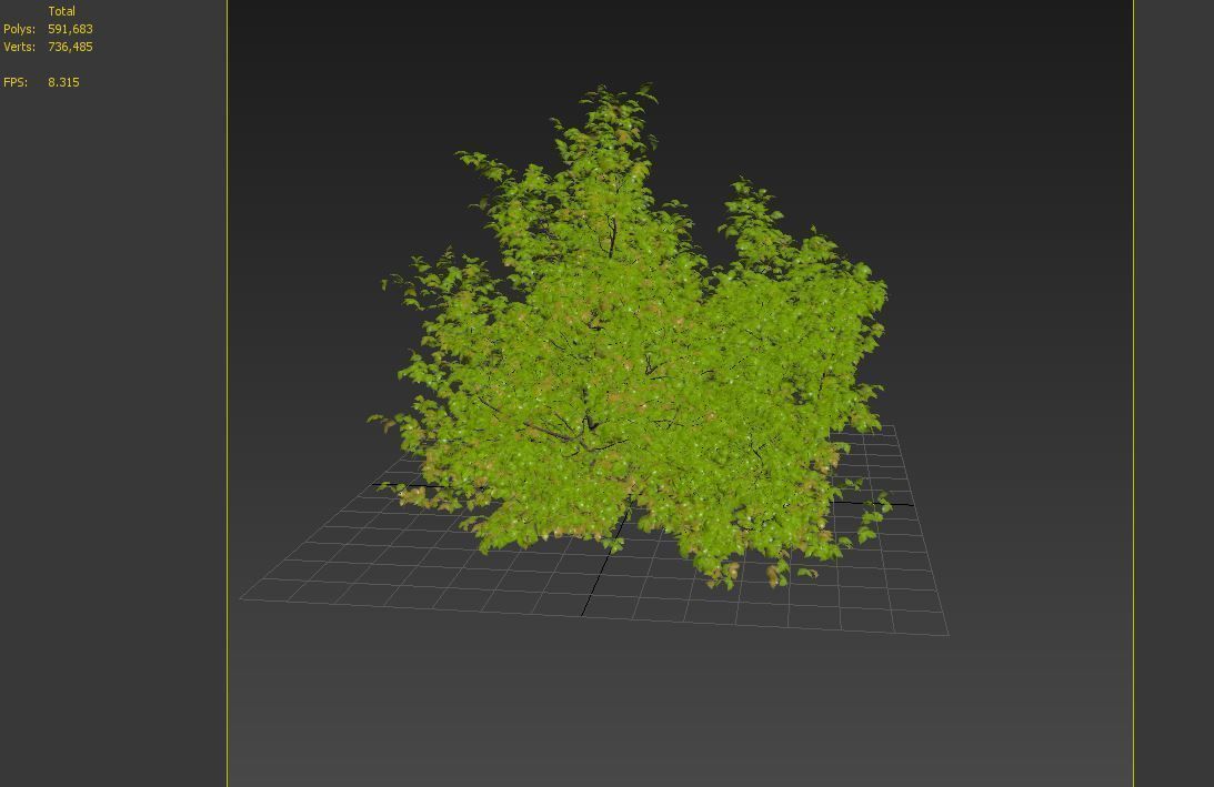 Spiraea japanica bush 3D model_7
