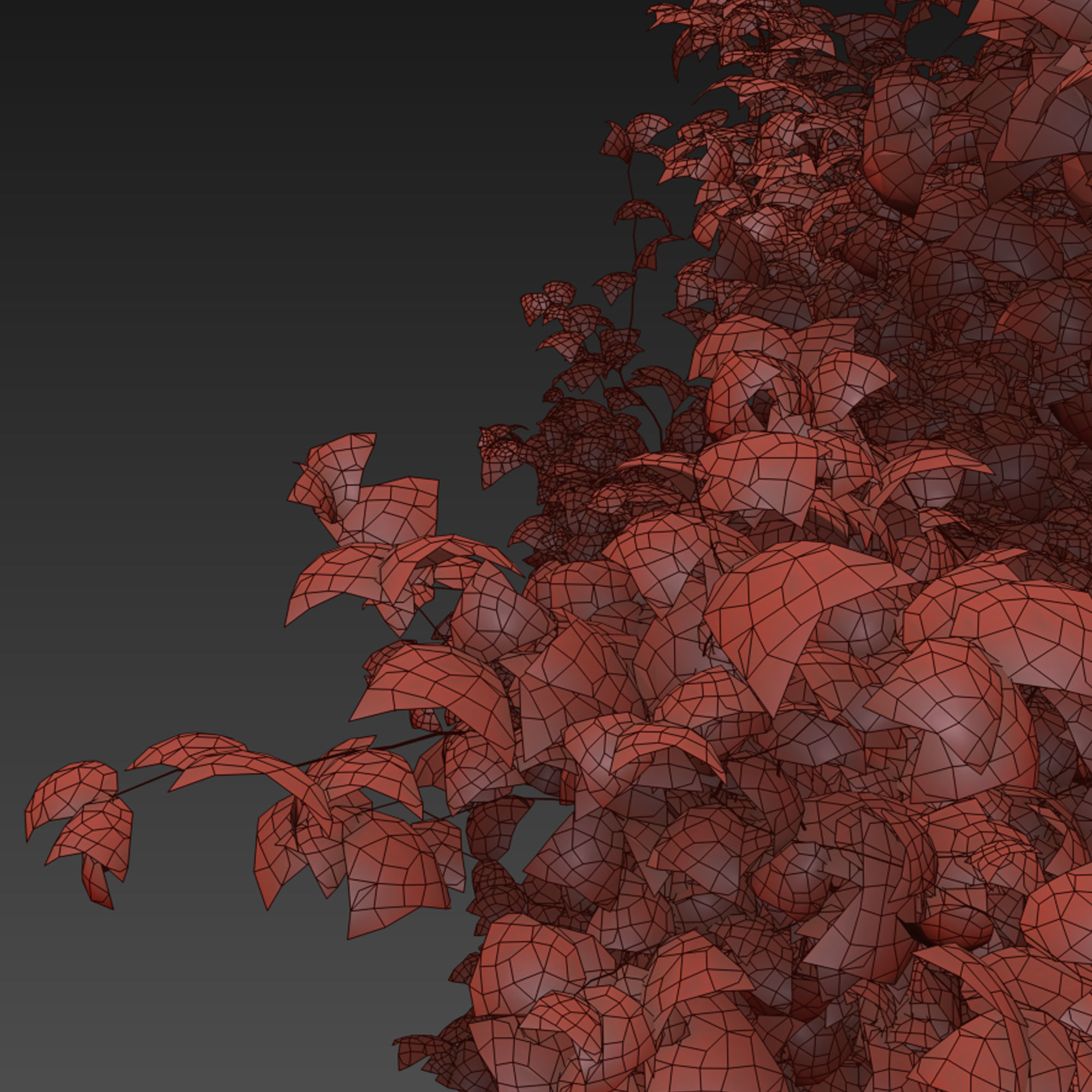 Spiraea japanica bush 3D model_6